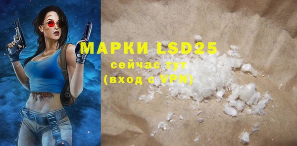 индика Сафоново