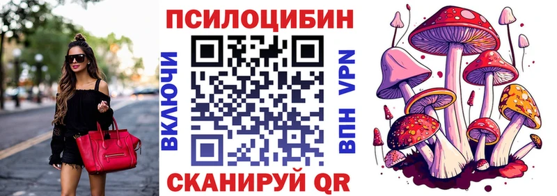 Купить закладки  Красково  Псилоцибиновые грибы прущие грибы 